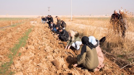 Selçuk Üniversitesi Sarıcalar Araştırma ve Uygulama Çiftliğinde 12 bin fidan dikildi